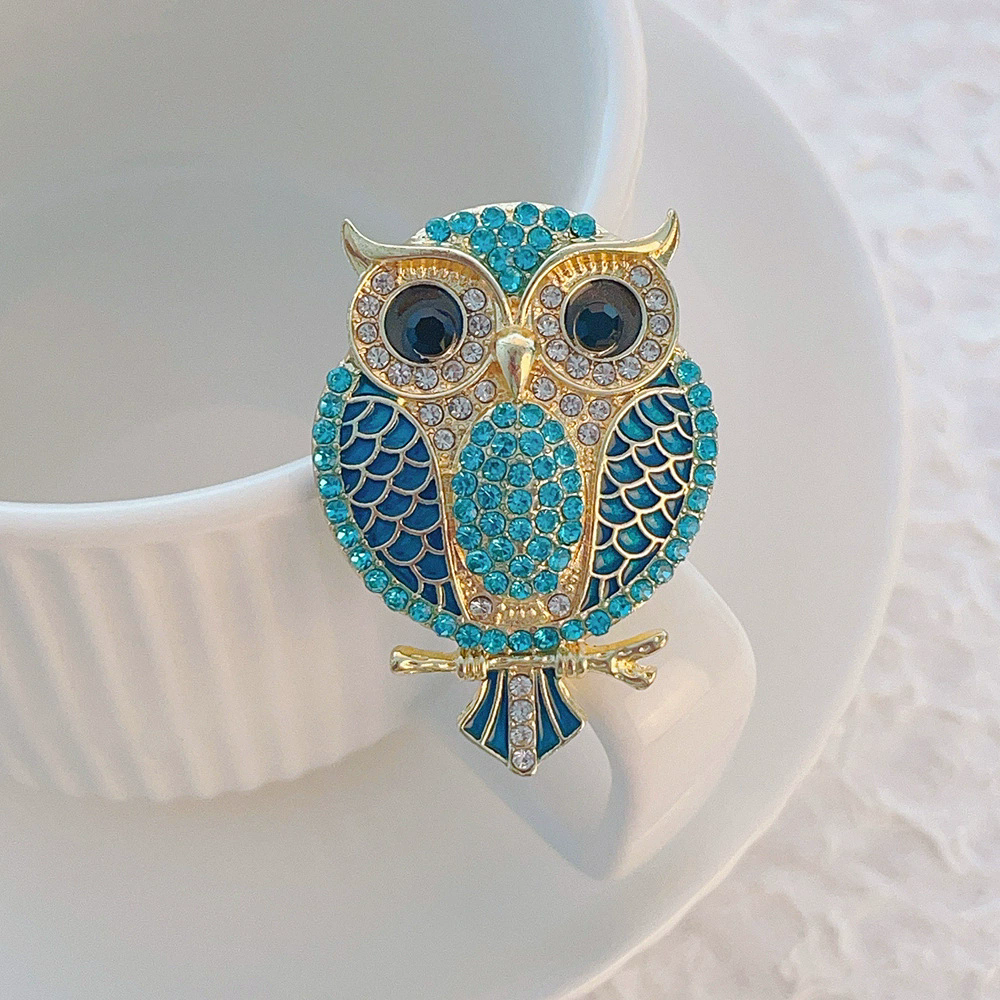 Owl Brooches for Women  Bird C - Women'S Accessories Categories ulasan dan harga